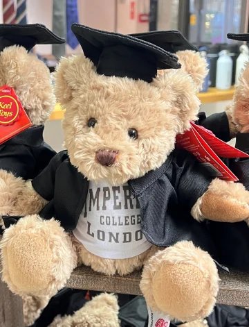 Graduation Teddy Bear 20cm